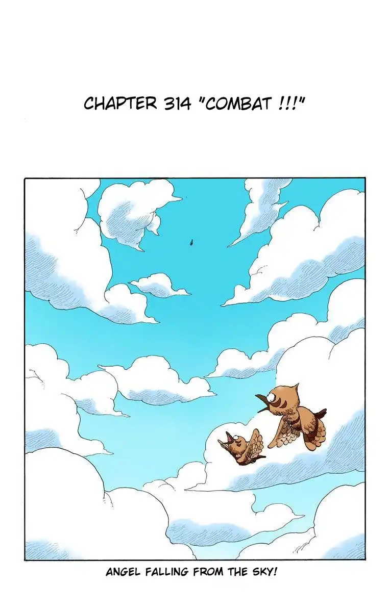 One Piece - Digital Colored Comics Chapter 314 2